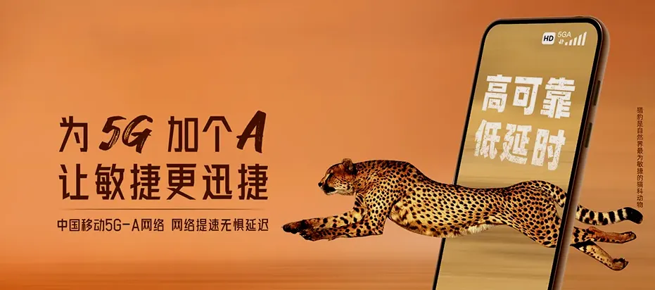 南谯区南谯区章广镇 移动宽带