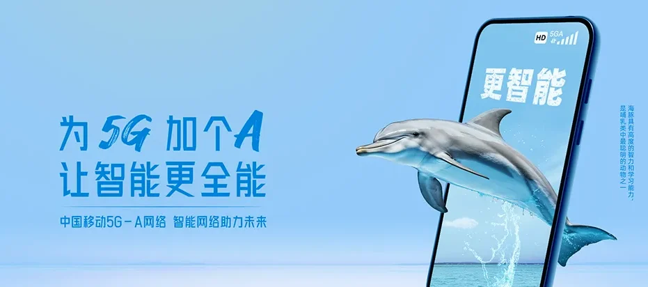 南谯区南谯区大王镇 移动宽带